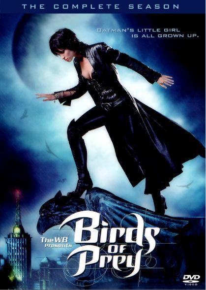 Birds of Prey (Temporada Unica) [13 Cap.] FDT